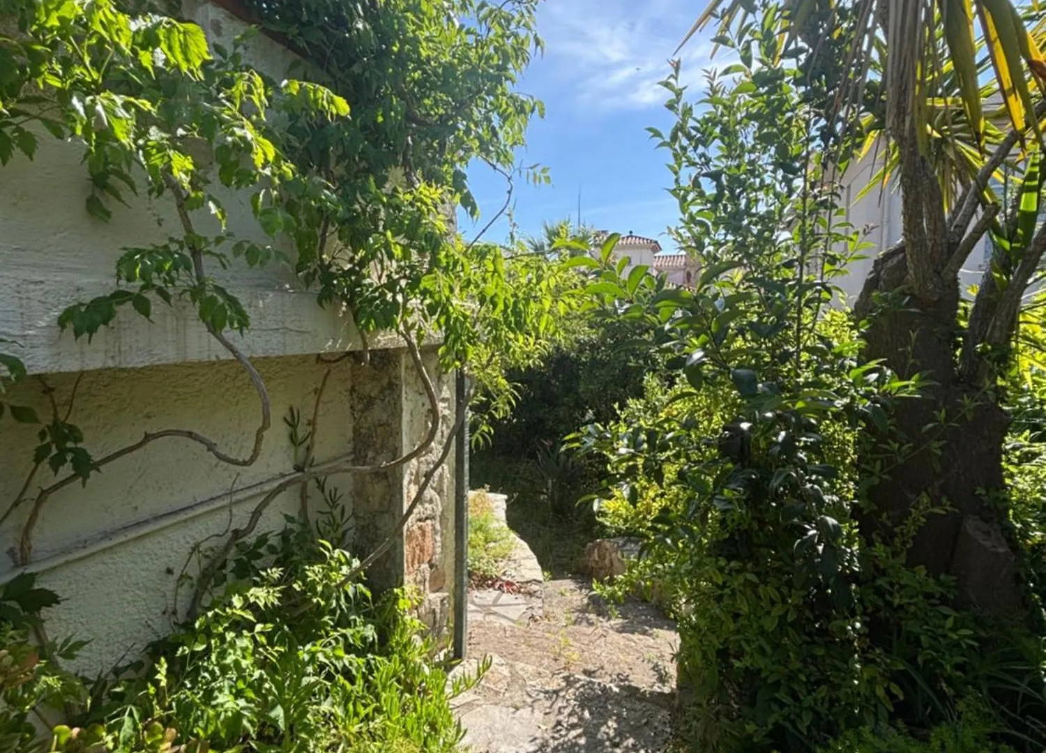 Villa Tricia Cannes
